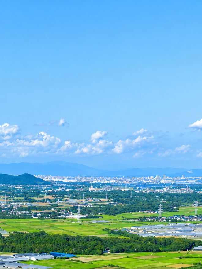モール・販路