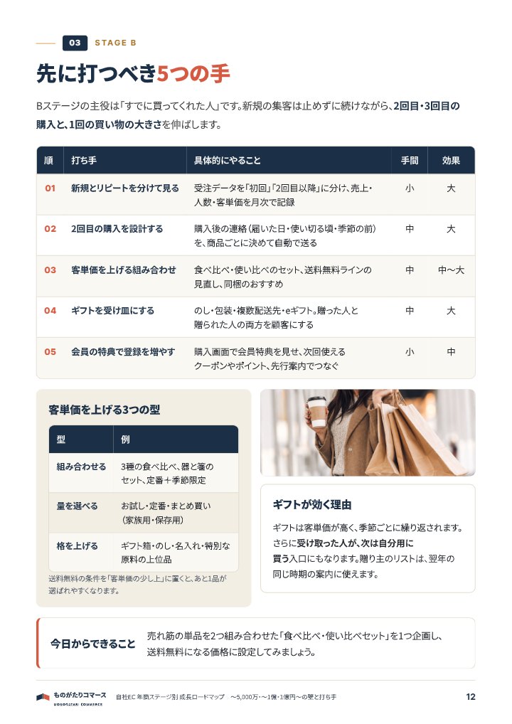 自社EC 年商ステージ別 成長ロードマップ｜〜5,000万・〜1億・1億円〜の中面イメージ（12ページ目）